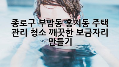 종로구 부암동 홍지동 주택 관리 청소: 깨끗한 보금자리 만들기